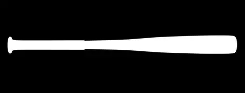Baseball Bat