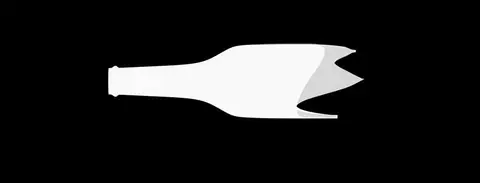 Bottle