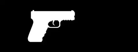 WM 29 Pistol