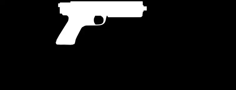 AP Pistol