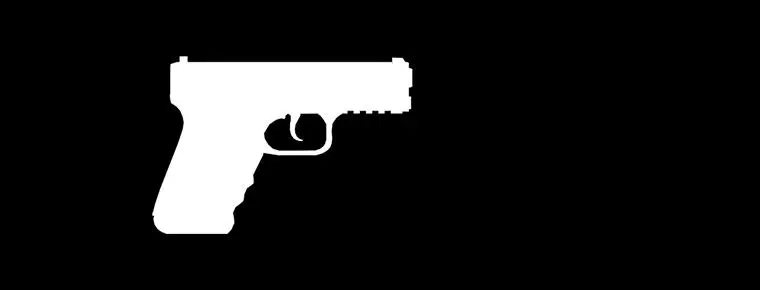 WM 29 Pistol
